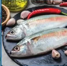 Mackerel