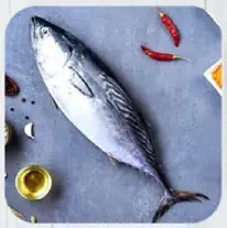 Fish Tuna