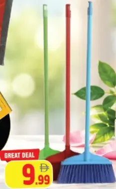 Soft Broom