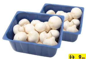 Mushroom