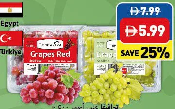 Terraviva Grapes Red Seedless