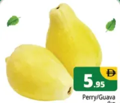 Perry/Guava