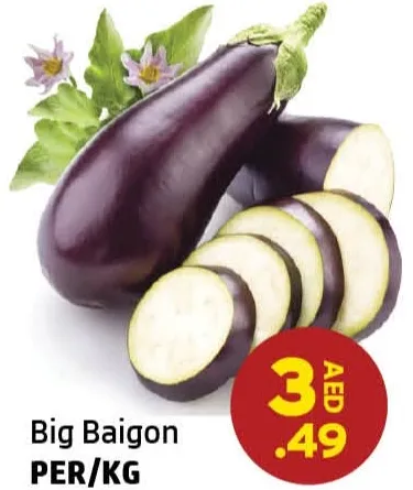 Big Baigon