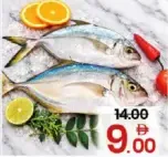 Kaduvappara Fish