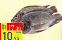 سمك البلطي