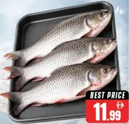Rohu Fro Fish 1up