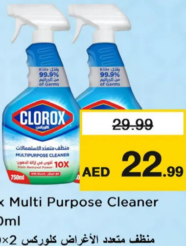 Clorox Multipurpose Cleaner