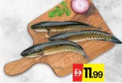 Herring Fish