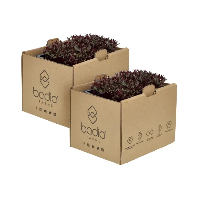 Badia Farms براعم الشمندر