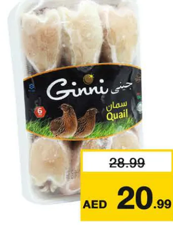 Ginni سمان مجمد جرمانيا