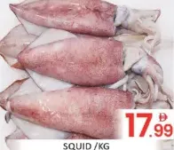 حبار