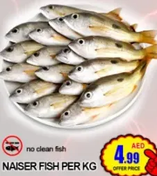 سمك نايسر