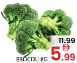 Brocoli