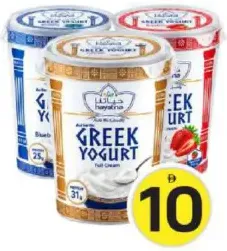 Hayatna Greek Yoghurt Assorted