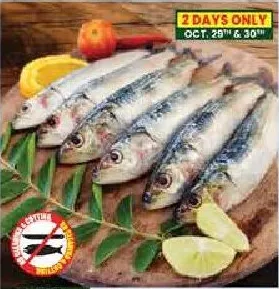 Sardine Big