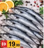 Fish-King Fish Small
