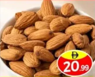 Almond 20/22 Plain