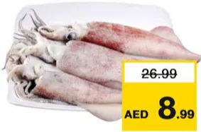 حبار طازج كبير