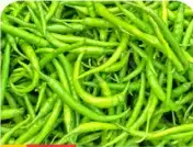 Chilli fresh
