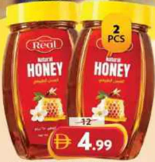Real Premium Honey Pet