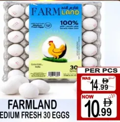 Farmland Medium Fresh Eggs