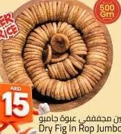 تين مجفف روب جامبو