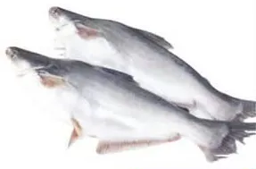 Attu Walah Fresh