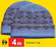 Winter Cap