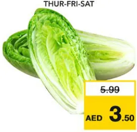 Lettuce Romaine