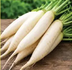 Radish White