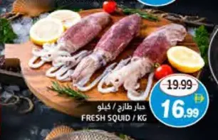 حبار طازج / كجم