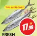 Fresh King Fish