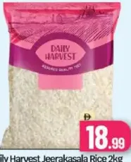 Daily Harvest أرز جيراكاسالا