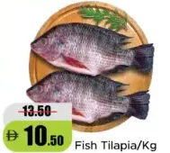 Fish-Tilapia