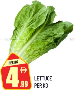 Lettuce