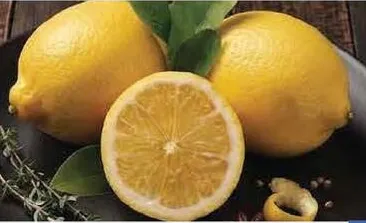 Lemon - South Africa