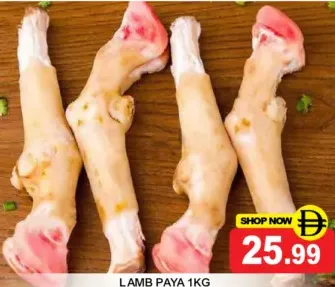Lamb Paya