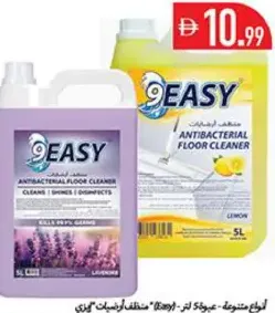 9 Easy Floor Cleaner Assorted