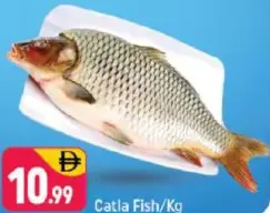 Catla Fish