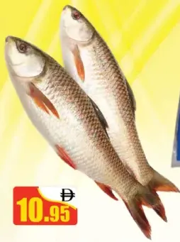 Rohu Fish 1up