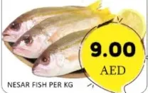 Nesar Fish