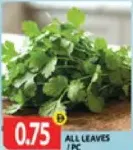 All Leaves