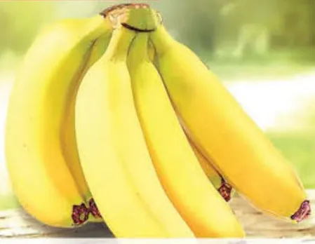 Banana Ecuador