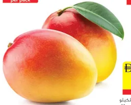 Mango Kent
