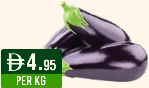 Eggplant Big/Long/Super/Star/BBC/Purple Oman