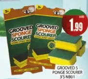 Grooved Sponge Scourer