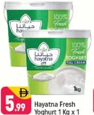 Hayatna زبادي طازج