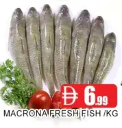 Macrona Fresh Fish