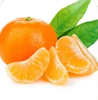 برتقال ساندرا نوفا