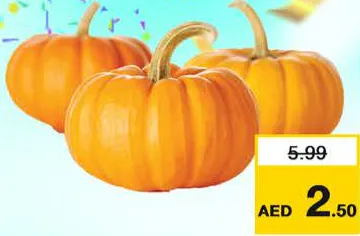 يقطين أحمر